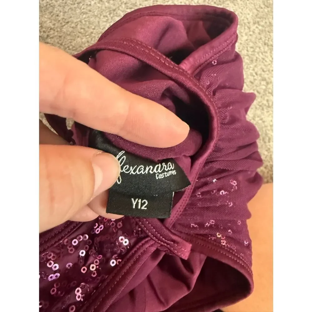 Alexandra Collection Endless Love Sequin Dance Costume Sz Y12